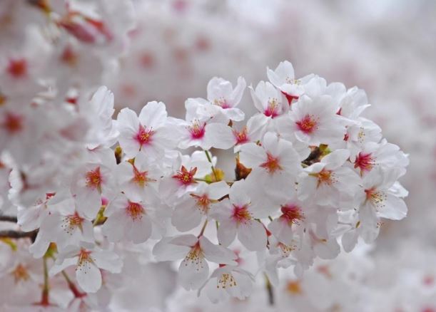 Trẻ sinh vào 3 giờ này, lớn lên ắt hóa rồng hóa phượng, vinh hiển hơn người