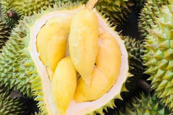 Người bán chỉ: Mua sầu riêng cứ nhìn 5 điểm sau, biết ngay quả nào chín già, nhiều cơm