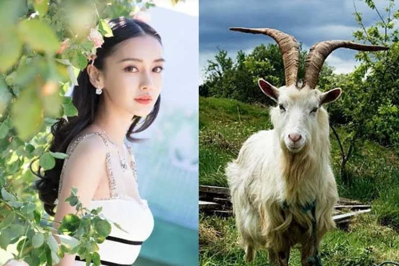 Mệnh Trời đã định: 4 tuổi lộc rót đầy tay, công danh sự nghiệp thăng tiến, làm gì cũng giàu cuối năm 2023