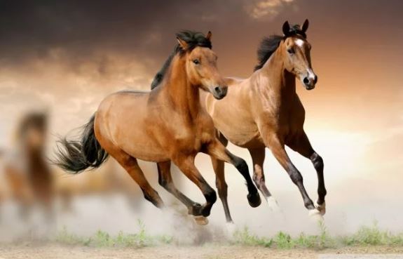 Phật Tổ ban lộc cho người hiền tài: 3 tuổi hết Tam Tai công danh hanh thông, tiền tình rực rỡ, giàu khủng