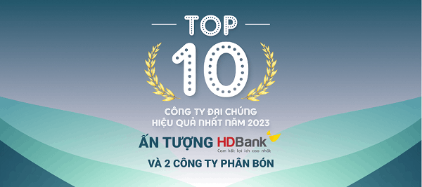 TOP 10 công ty đại chúng hiệu quả nhất năm 2023: Ấn tượng HDBank, Đạm Phú Mỹ và Hóa dầu Đức Giang