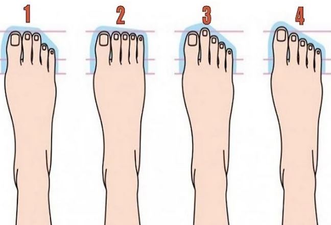 Thầy tướng số nói: Nhìn chiều dài ngón chân biết tương lai giàu sang hay nghèo hèn