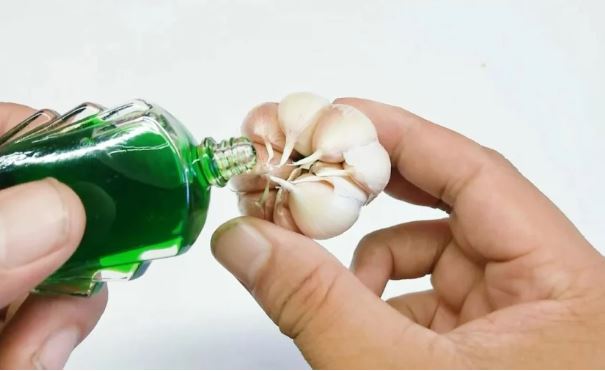 Nhỏ vài giọt dầu gió lên tỏi: Mẹo nhỏ nhưng giải quyết được những vấn đề lớn mà nam và nữ đều gặp phải