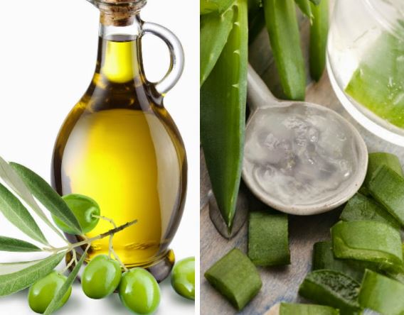 Đừng bỏ lỡ 4 công thức trị mụn tuyệt vời từ ‘thần dược’ oliu