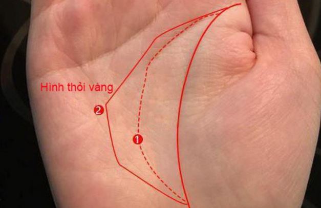 Dù nam hay nữ, có 4 dấu hiệu cực phẩm này trong lòng bàn tay đều mang mệnh phú quý, số hưởng đến già