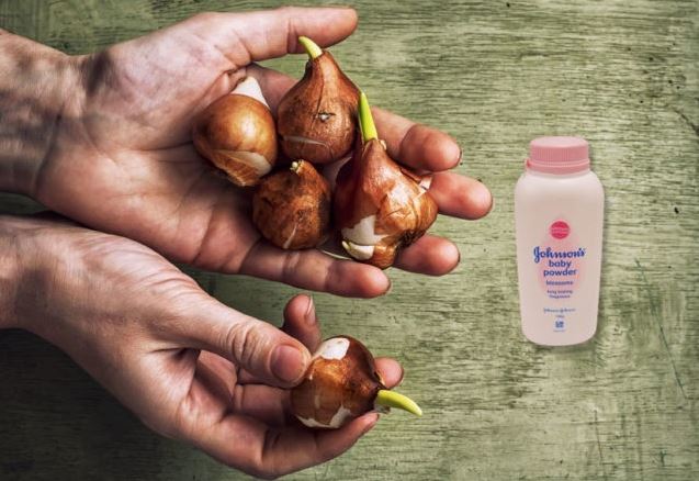 8 công dụng bất ngờ của phấn rôm