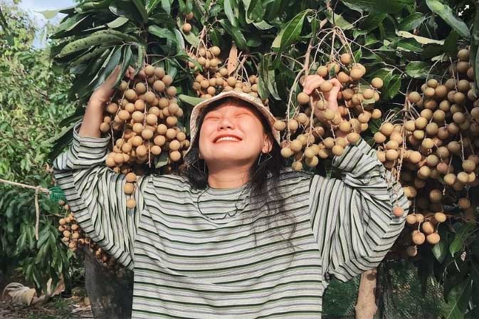 5 khu vườn trái cây gần TP.HCM đáng trải nghiệm mùa hè