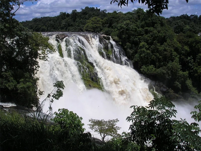 6. Para. Đây là một thác nước nằm ở Manapiare, Venezuela. Thác nằm ở dọc sông Caura, nó được chia làm 2 nhánh, ở giữa là một đảo nhỏ. Mùa Xuân và mùa Hè là thời điểm thích hợp nhất để tham quan địa điểm này.