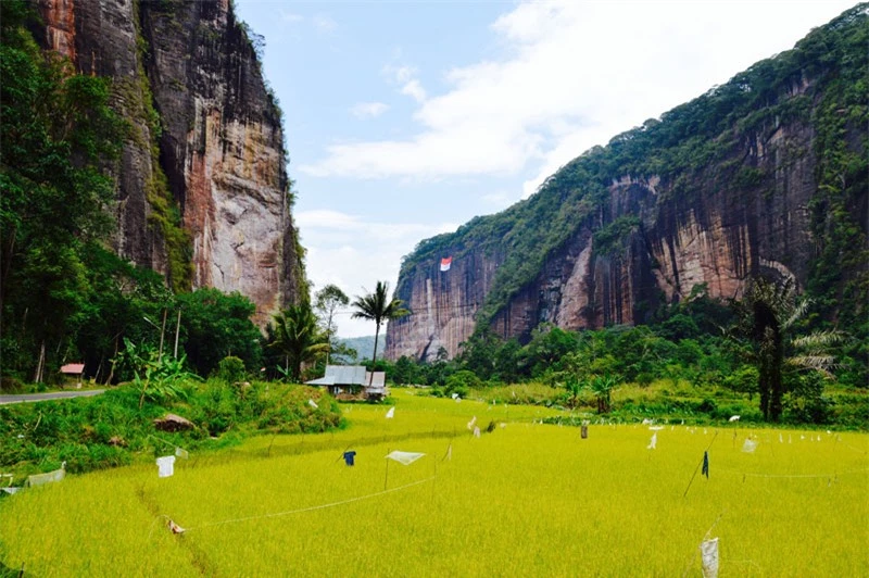 7. Harau. Thung lũng này tọa lạc ở thị trấn Payakumbuh, Indonesia. Harau là một hẻm núi tuyệt đẹp, được bao phủ bởi màu xanh của lúa và cây cối. Sự tĩnh lặng và không khí trong lành chính là điểm cộng thu hút khách du lịch của vùng đất này.