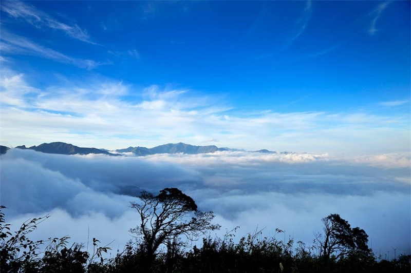 Tà Xùa là điểm đến yêu thích của những du khách thích leo núi, ngắm cảnh rừng núi. Ảnh: Diem Dang Dung.