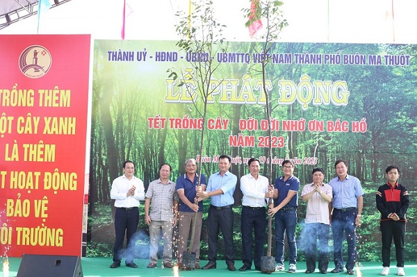 Thay hoa chúc mừng bằng cây xanh bảo vệ môi trường
