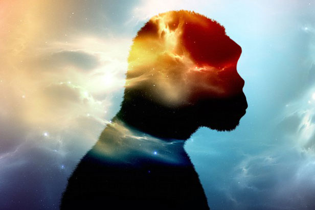 Bằng chứng sống: Chúng ta là con lai của "loài người ma"