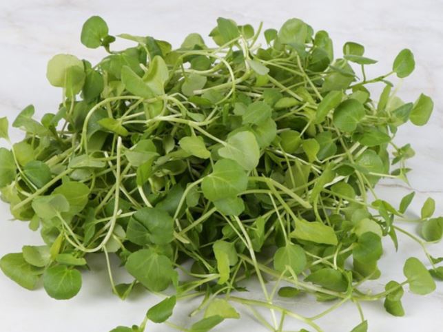 Công dụng của rau cải xoong không phải ai cũng biết