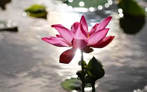 Lúc cuộc đời không suôn sẻ cứ nhớ 3 chữ này, vận may có thể sẽ đến tận nơi