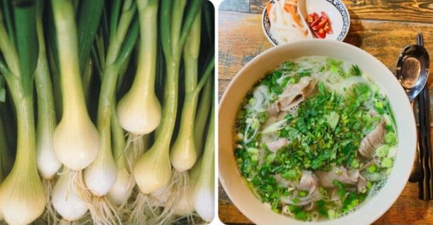 Tác hại của việc ăn nhiều hành