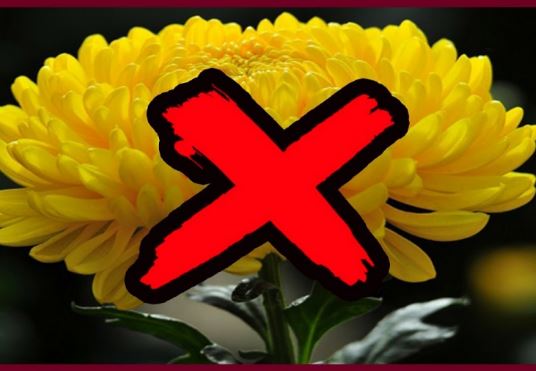 3 loại hoa để trên bàn thờ dễ mất lộc, cầu khấn mấy cũng chẳng thấy linh ứng