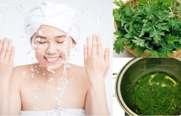 Điểm danh những lợi ích tuyệt vời từ ngải cứu với mái tóc, làn da