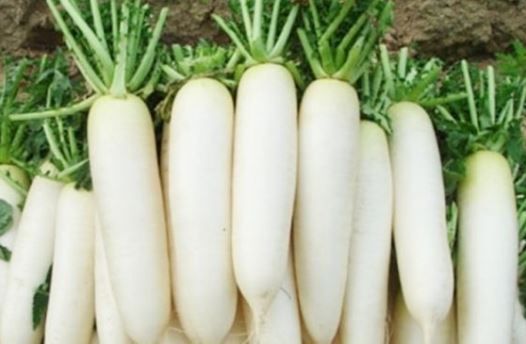 4 loại rau bổ hơn thịt rẻ hơn thuốc, quý như nhân sâm bán đầy ngoài chợ, thấy là nhớ mua liền