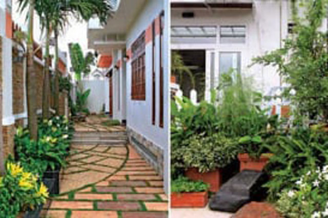 Tổ tiên dặn chẳng sai: 4 loại cây trồng trước nhà nghèo không ngóc đầu lên được, trồng sau nhà trấn giữ của cải