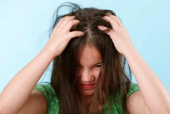 Hãy chăm sóc tóc đúng cách để ngăn nấm vào mùa mưa gây khó chịu (hình minh họa)