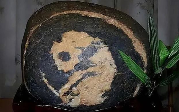 Nhặt được hòn đá có hình gấu trúc, người đàn ông vô tình mang “kho báu” hơn 300 trăm tỉ về nhà