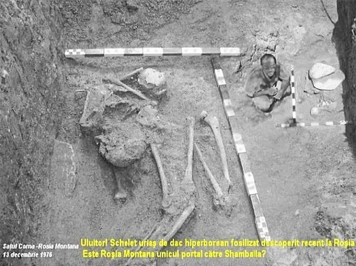 Bí ẩn về bộ xương người khổng lồ dài  10 mét được khai quật vào năm 1976 - Ảnh 1.
