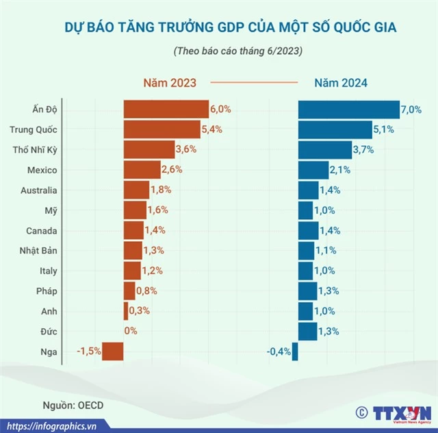 OECD nâng dự báo tăng trưởng GDP toàn cầu - Ảnh 2.