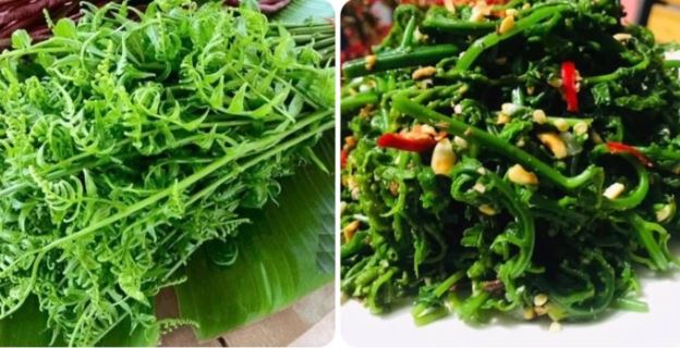 Rau dớn có tác dụng gì?