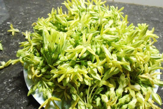 Hoa thiên lý có tác dụng gì?