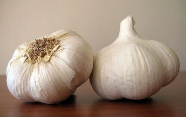 Lo&#x1EA1;i gia v&#x1ECB; &#x111;&#x1B0;&#x1EE3;c v&#xED; l&#xE0; thu&#x1ED1;c tr&#x1ECB; &quot;b&#xE1;ch b&#x1EC7;nh&quot; c&#x1EE7;a ng&#x1B0;&#x1EDD;i ngh&#xE8;o