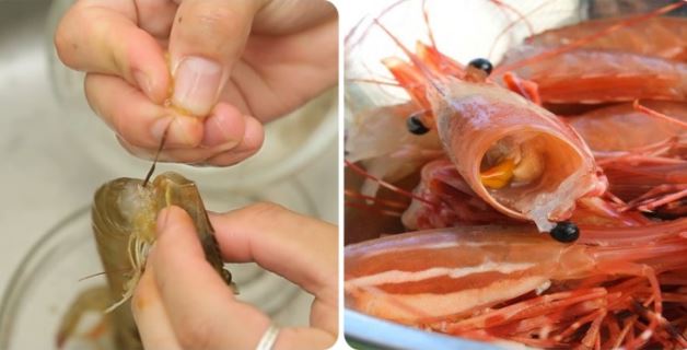 3 bộ phận 'cực độc' của tôm chứa đầy ký sinh trùng, đừng cố ăn kẻo hại sức khỏe