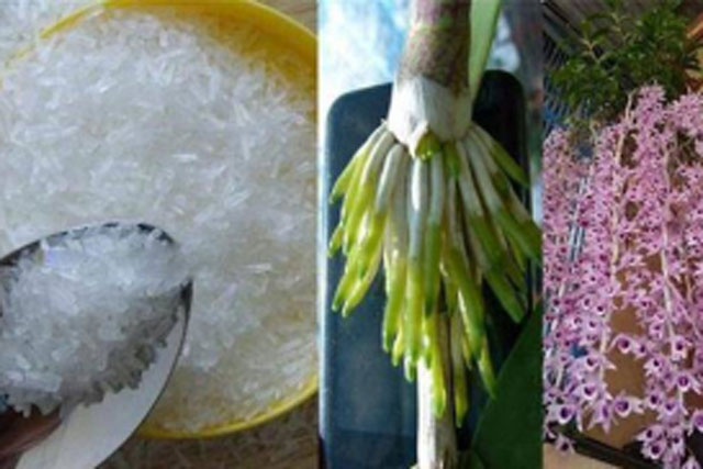 Hoa lan vàng vọt dùng ngay loại gia vị “thần kỳ” này tưới cây: Hoa tuôn như suối, mơn mởn suốt năm