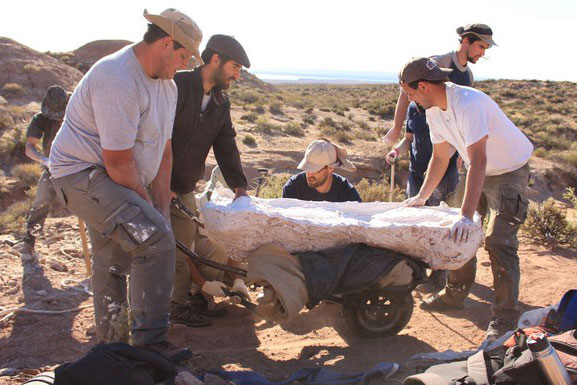 Phát hiện siêu quái thú 40 tấn, xương làm thủng cả đường nhựa