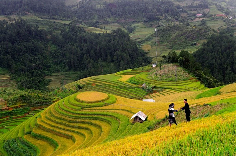 Ruộng bậc thang của huyện Mù Cang Chải là nét đẹp mang đậm sắc thái của đồng bào Mông. Ảnh: Diem Dang Dung.