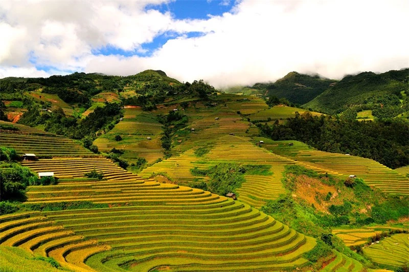 La Pán Tẩn là nơi có diện tích ruộng bậc thang lớn nhất Mù Cang Chải với 198 ha ruộng bậc thang. Những thửa ruộng bậc thang xếp tầng, xếp lớp như mâm xôi vàng trải rộng khắp quả đồi. Ảnh: Diem Dang Dung.