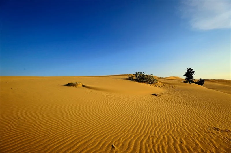 Đến với Nam Cương bạn sẽ thấy những tràng cát nhiều tầng lớp nối nhau rồi vút lên choáng ngợp tầm mắt như một tác phẩm xếp đặt tài hoa của xứ sở nắng và gió. Ảnh: Diem Dang Dung.