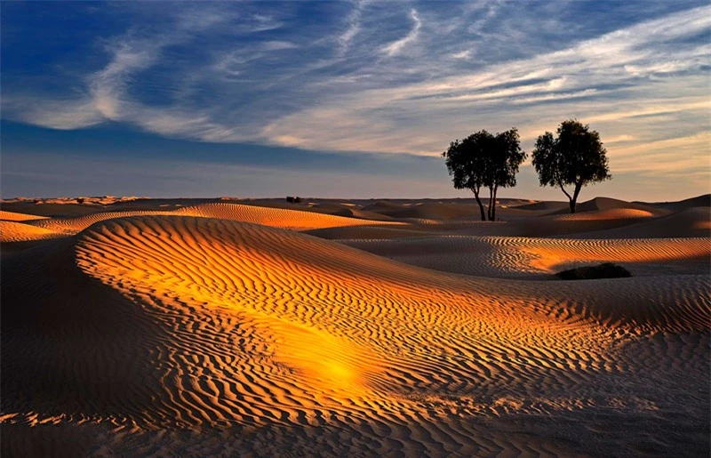 Đây là khu vực lớn nhất được cát bao phủ liên tục trên thế giới. Lượng cát ở đây bằng một nửa lượng cát ở Sahara.