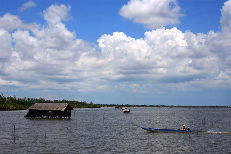 Đầm Thị Tường cách thành phố Cà Mau khoảng 40 km và cách quốc lộ 1A 7 km. Kienthuc.