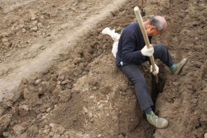 Trộm đồ trong mộ cổ, lão nông bất ngờ gặp 'tai ương' lớn ập đến sau vài năm 