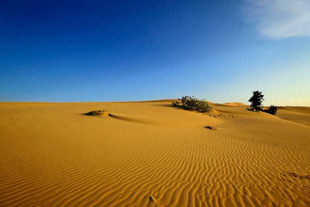 Không thể rời mắt trước đồi cát đẹp bậc nhất Đông Nam Á ở ngay Việt Nam