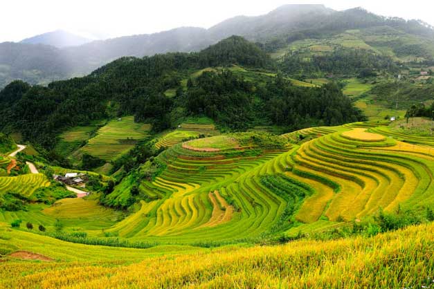 “Ghé thăm” ngọn đồi đẹp nhất trung du miền núi phía Bắc