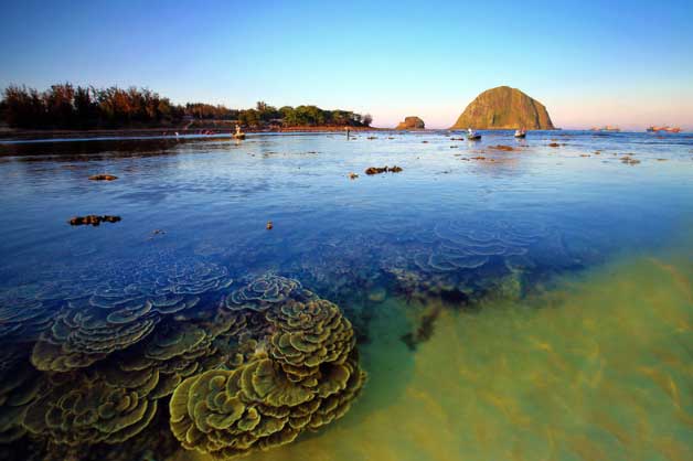 Hòn Yến - Điểm đến lý tưởng bậc nhất xứ “hoa vàng trên cỏ xanh”