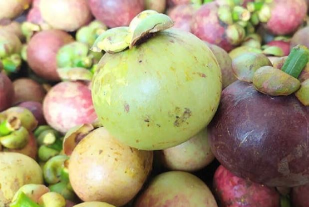 Cách chọn măng cụt ngon không phải ai cũng biết