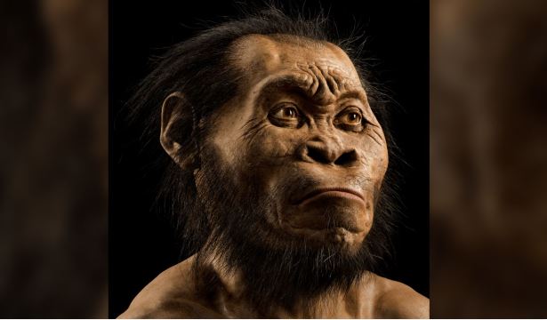 Phát hiện giống người cổ đại biết chạm khắc biểu tượng và đã có tục an táng 100.000 năm trước con người