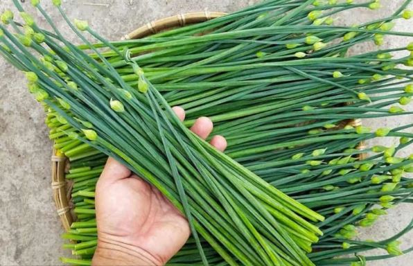 6 loại rau “bình dân” nhưng quý như nhân sâm giàu dinh dưỡng, ít phun thuốc trừ sâu