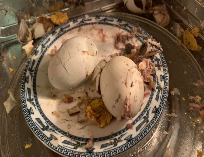 8 loại thực phẩm không nên cho vào lò vi sóng: Làm đồ ăn mất chất, tiềm ẩn nguy hại sức khỏe