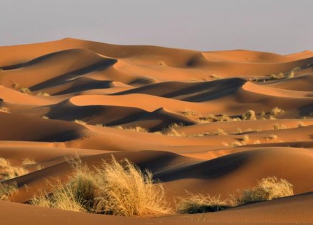 Dùng radar đo độ sâu sa mạc Sahara, các nhà khoa học phát hiện ra "thứ" khổng lồ bên dưới