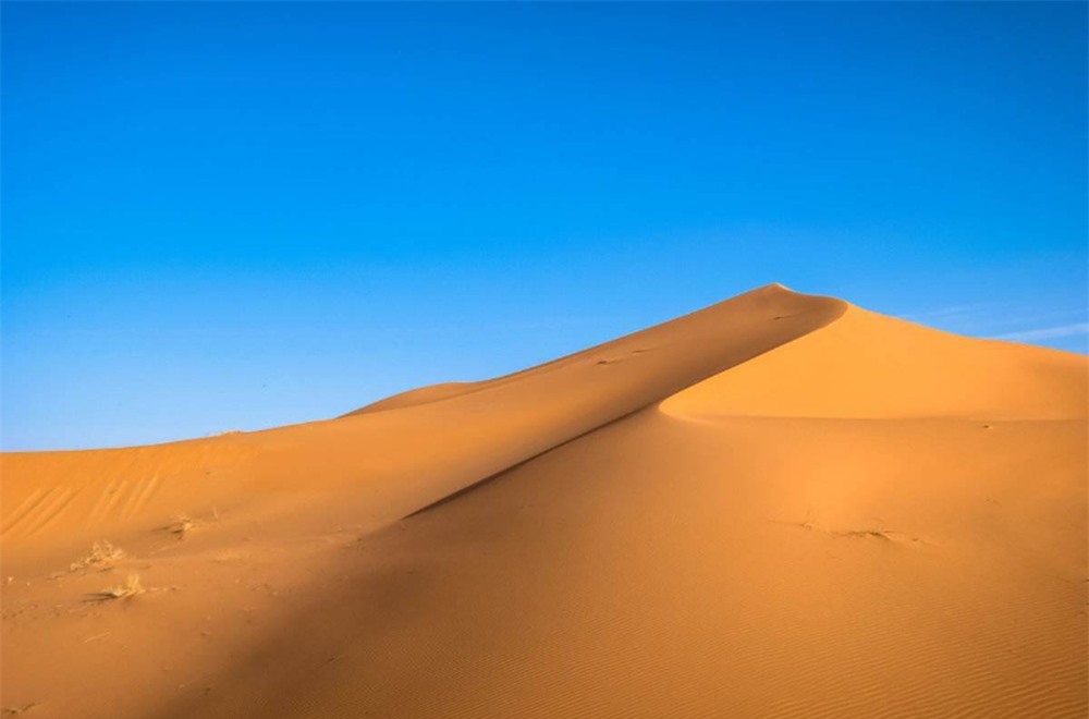 Dùng radar đo độ sâu sa mạc Sahara, các nhà khoa học phát hiện ra thứ khổng lồ bên dưới - Ảnh 3.