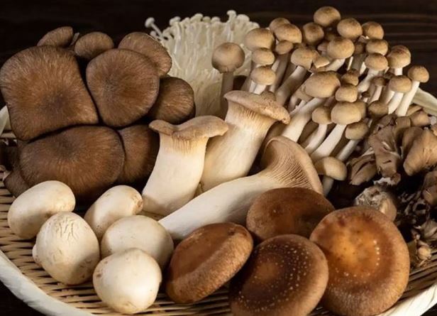 Mẹo chọn nấm tươi ngon, không hóa chất đảm bảo an toàn khi sử dụng