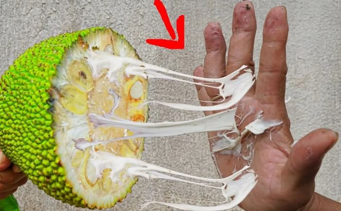 Mẹo làm sạch nhựa mít nhanh gọn, chỉ rửa nhẹ là hết dính